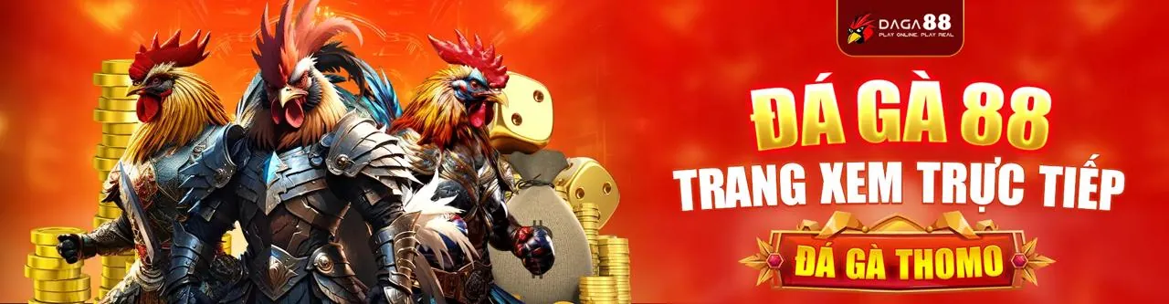 Liên hệ với Cán bộ Bảo vệ Dữ liệu của king52 casino